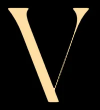 Логотип - оптовик (VINTAGE SRL)