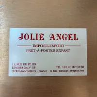 logo - wholesaler (Jolie Angel)