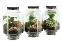 Mayorista de ropa Versaiye en España