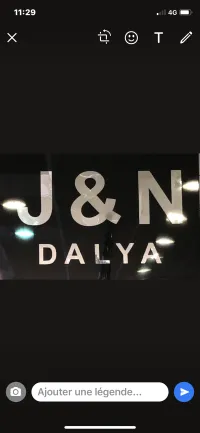 logo - wholesaler (Dalya)