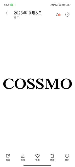 Logo - wholesaler (Cossmo Deko GmbH)