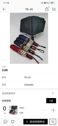 Accessori per Unisex dal grossista di abbigliamento Violina in Italia