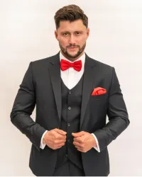 Мужчины's Верхняя одежда от оптового продавца одежды Aljeka Grupa в Польша