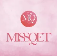 logo - wholesaler (Missqet)