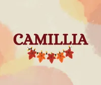 Logo - toptancı (CAMILLIA)