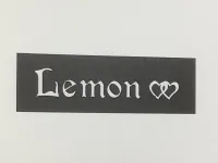 logo - wholesaler (LEMON FASHION S.L.)