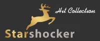 logo - wholesaler (Starshocker Import & Export)